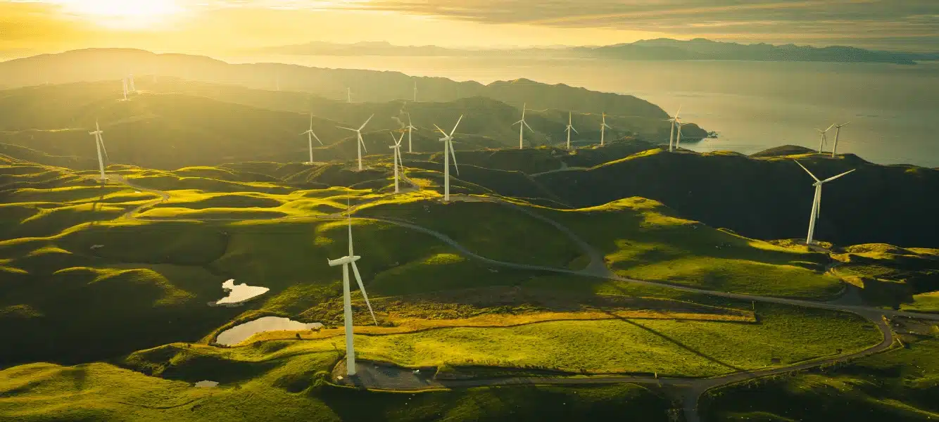 an image of multiple on short wind turbines in a large field by the water on the employees need new skills blog