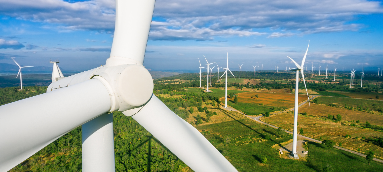 An image of wind turbines in the Wind energy sector